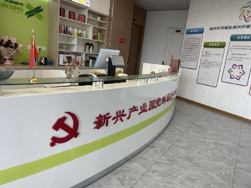 民革四川天府新区支部开展“双联双助”主题座谈会 聚焦网络技术赋能发展