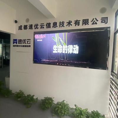 成都速优云信息技术 引领成都网络技术发展的创新力量